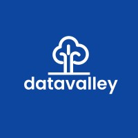 DataValley Web Services logo - Similar company to Datavalley
