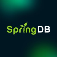 SpringDB logo - Similar company to 5X5