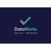 Data Works logo - Similar company to Career Concept Ltd
