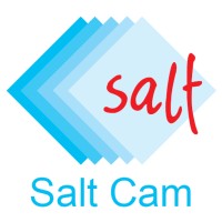 Salt Cam logo - Similar company to Berdan Glass Co. / Berdan Cam A.Ş.