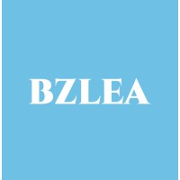 Bzlea Consulting
