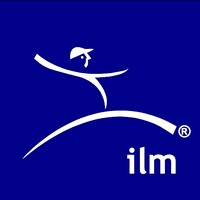 Instituto Lean Management logo - Similar company to Lean Institute Chile