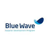 Blue Wave International Supplier Development Program logo - Similar company to Valank - Dominicis