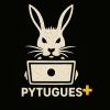 Pytugues+ logo - Similar company to Pyt Hair