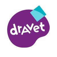 Stichting Dravetsyndroom Nederland/Vlaanderen logo - Similar company to Svrk