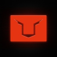 Lion Laser Productions logo - Similar company to Transundeez