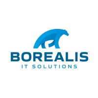 Borealis IT Solutions logo - Similar company to Tangible Growth