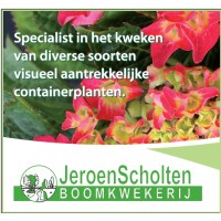 Boomkwekerij Jeroen Scholten Bv