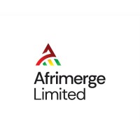 AFRIMERGE LTD logo - Similar company to The Digital Solutions Team Llc