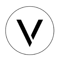 Verticale S.r.L logo - Similar company to Insegnepro
