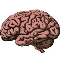 Big Brain Casino Maths logo - Similar company to Ramora Technologies