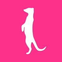 Suricato Web
