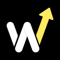Wizio logo - Similar company to Flow Helper