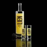 LIEN Limoncello logo - Similar company to Atvise | Next Level E-Commerce 🔥🚀
