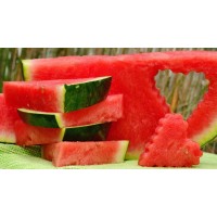 SUPPLIER FRUITS DIRECTLY WITH OWNERS FARMS WHOLESALE MAXIMUM QUALITY BEST PRICE logo - Similar company to Lazaya, Specialists In Preserved Fruits