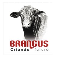 ASOCIACION ARGENTINA DE BRANGUS logo - Similar company to Brangus It