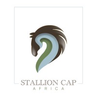 Stallion Cap Africa logo - Similar company to Centre De Gestion Informatique De L'Éducation