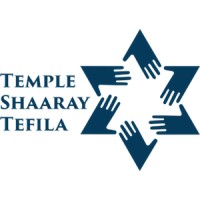 Temple Shaaray Tefila NYC logo - Similar company to Rebel Creative Group