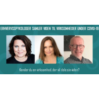 Erhvervspsykologer i Danmark