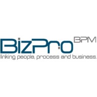 BizPro de México logo - Similar company to Amalgam8 Ltd