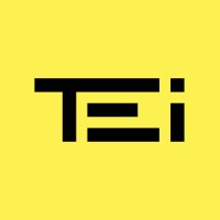 TEI S.r.l. logo - Similar company to Qualibit Srl