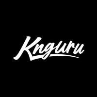 knguru.de logo - Similar company to Manitz
