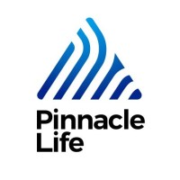 Pinnacle Life logo - Similar company to Capital Life Group
