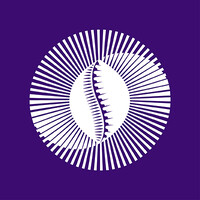 Pan-African Payment & Settlement System - PAPSS logo - Similar company to Interstellar Inc.