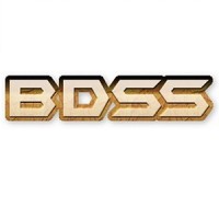 BDSS (Big Data Secured Solutions ) logo - Similar company to Infotect Design Solutions, Inc.