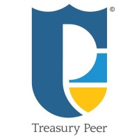 Treasury Peer logo - Similar company to Nfs