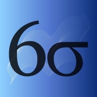 6 Sigma Group logo - Similar company to Velocity Software Ltd
