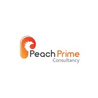 Peach Prime Consultancy logo - Similar company to Dots