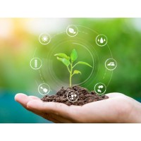 Al Kunhar Agriculture logo - Similar company to Owl Studio.Online