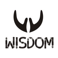 Foshan Wisdom Technology Co,. Ltd logo - Similar company to Sisgogo Co., Ltd.