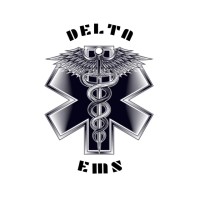 Delta EMS logo - Similar company to Mathonomy Technologies