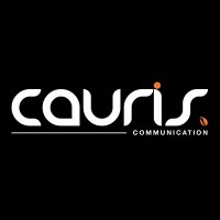 Cauris Communication logo - Similar company to Agence Efees