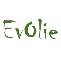 Evolie logo - Similar company to Khroufi.Ma
