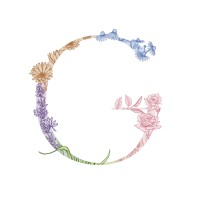 Gently Soap logo - Similar company to Box It Up Designs, Inc.