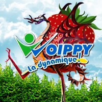 Ville de Woippy logo - Similar company to Asbh Moselle