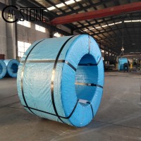 Capstone Steel Material Co., Ltd. logo - Similar company to Challpac