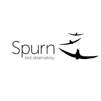 Spurn Bird Observatory Trust Limited