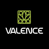 Valence Química logo - Similar company to Agroacesso