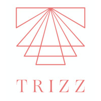 Trizz Studio logo - Similar company to Fake Studio
