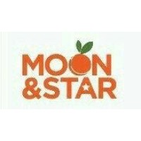 Moon & Star Group LLC logo - Similar company to Mr3 Srl