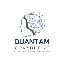 Quantam Consulting logo - Similar company to Quantam Insights