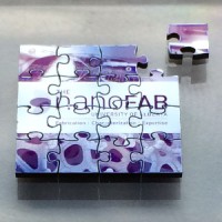 nanoFAB logo - Similar company to Applied Quantum Materials Inc.
