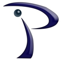 Palmersa Solutions S.A. de C.V. logo - Similar company to Erh Consultoría