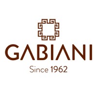 GabianiStyle logo - Similar company to Danesh Pazhoohan Techno Sharif