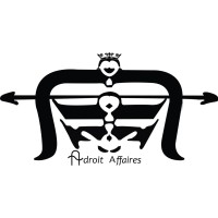 Adroit Affaires Inc. logo - Similar company to Cyberoni Software Solutions