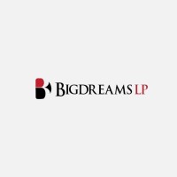 BigDreams LP logo - Similar company to Afriprize